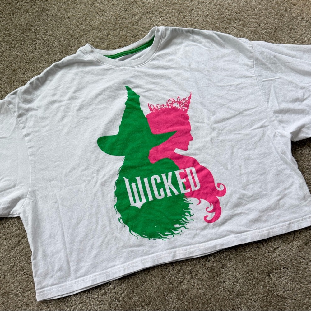 Medium Oversized Cropped Universal Studios Wicked… - image 2